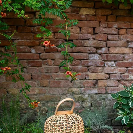 Appartamento Domus Carla With Garden R&r *