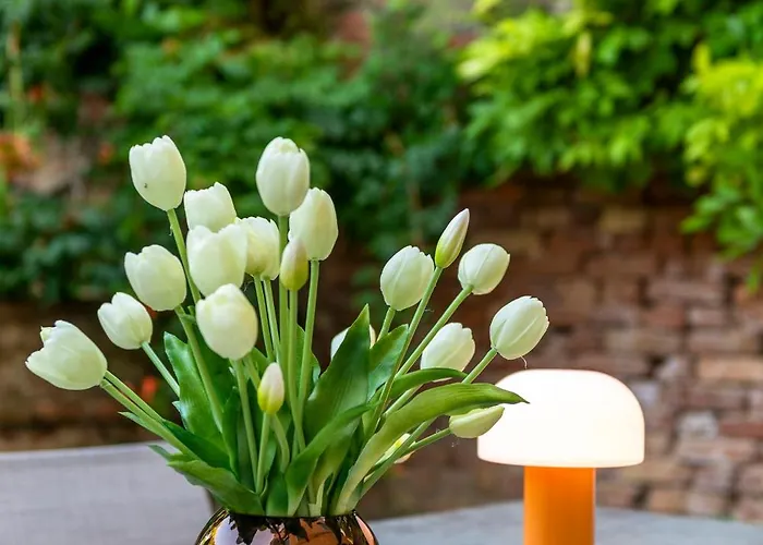 Domus Carla With Garden R&r 威尼斯