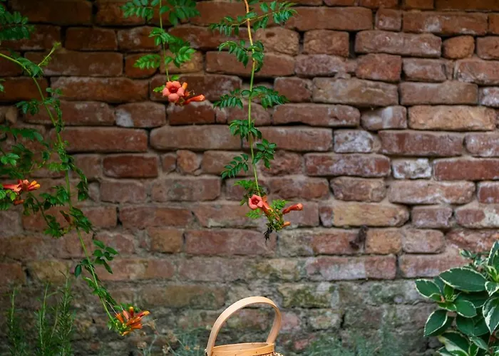 公寓 Domus Carla With Garden R&r *